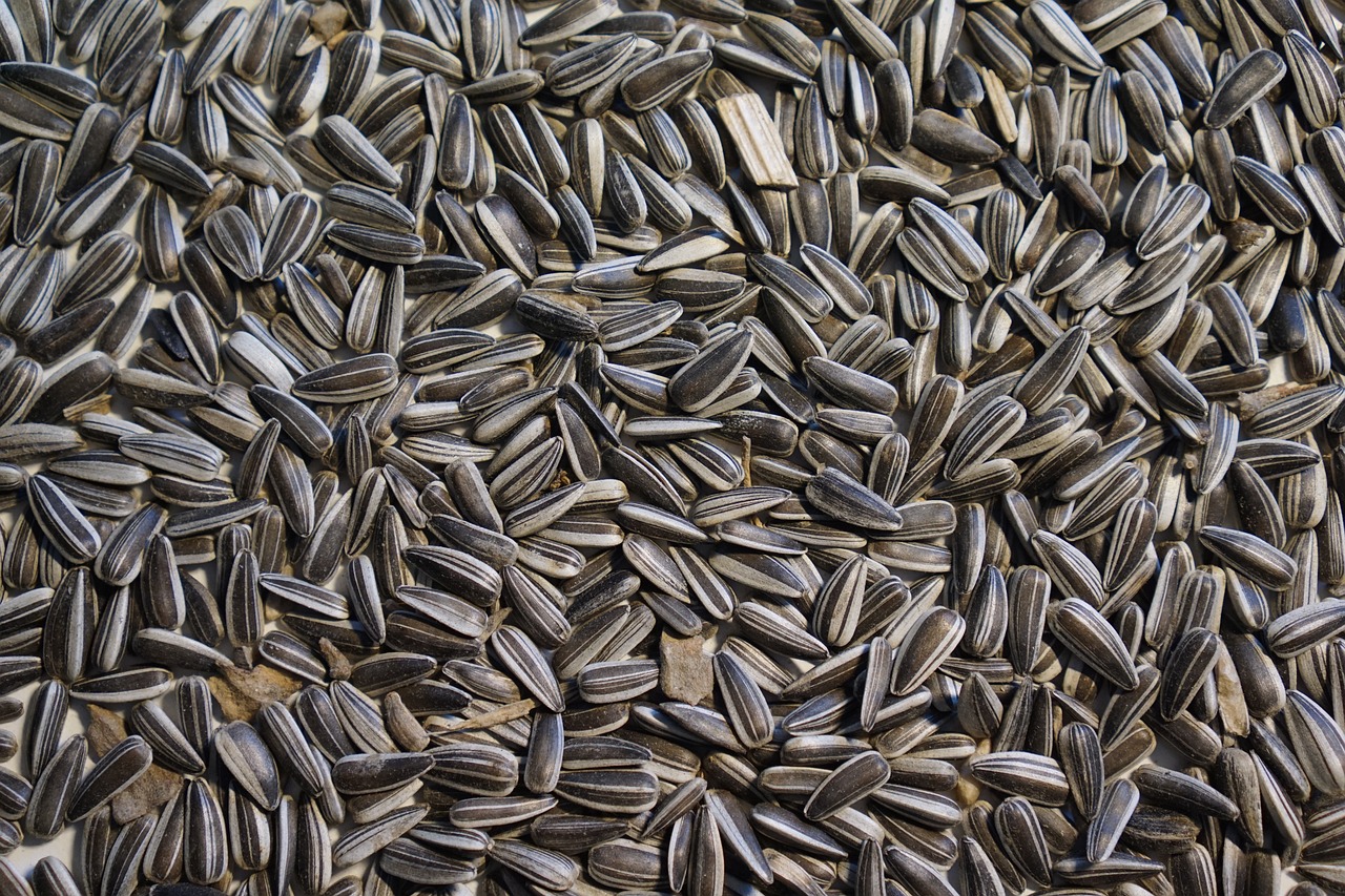 Why Are Heirloom Seeds Important for Eco-Friendly Farming?